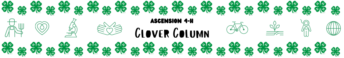 Ascension 4-H Clover Column Banner.